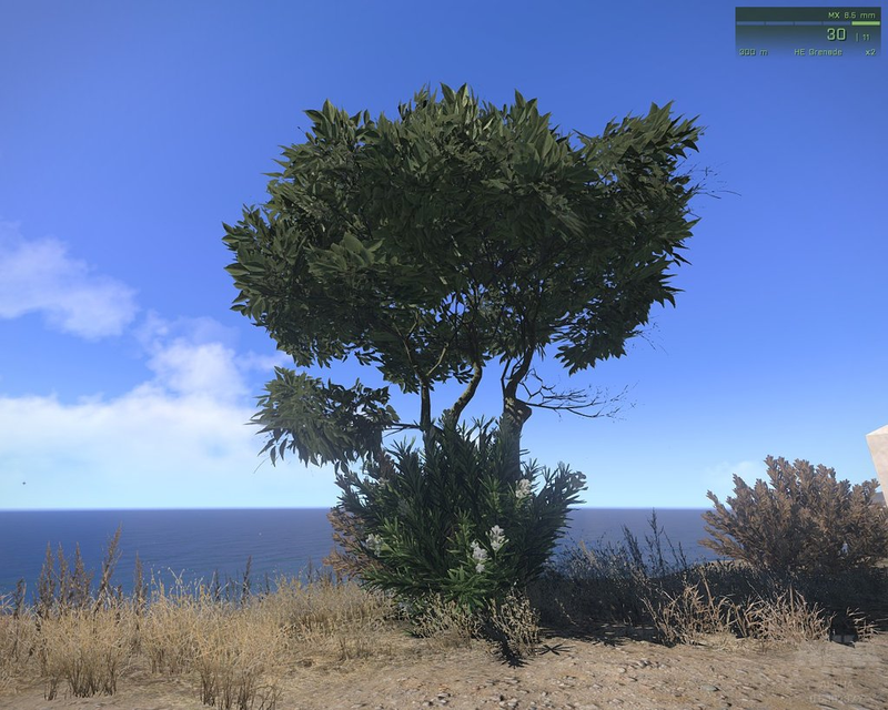 Illustration for article titled Arma 3 Has Some Stunningly Realistic-Looking Signage
